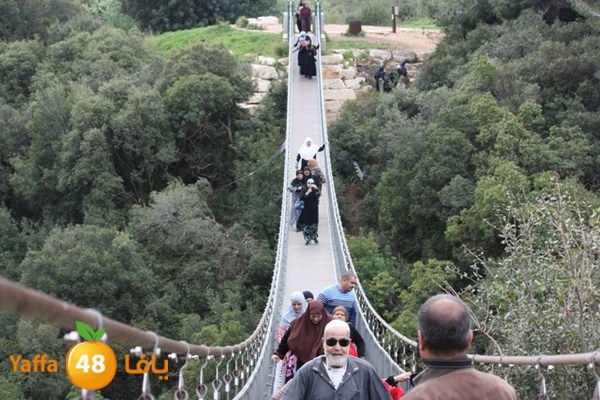 re7la7efa483 (59).JPG